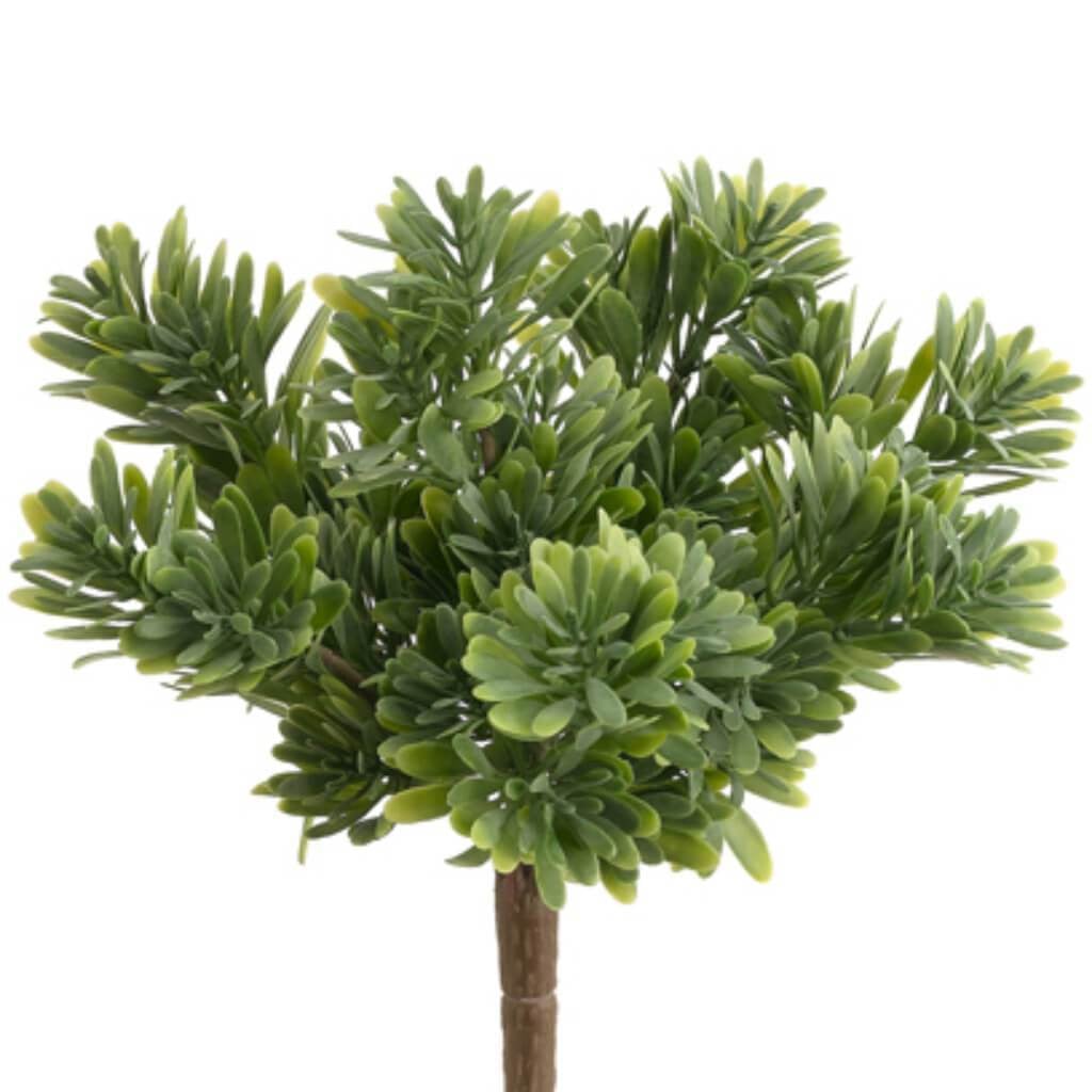 9"Plas.Succulent Grass Bu.X7Gr 