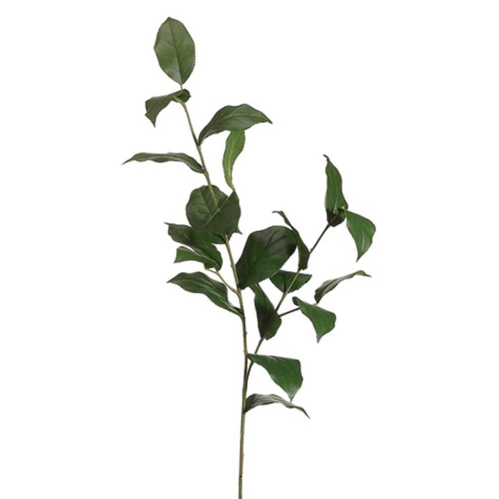 36"Lemon Leaf Spray Gr 