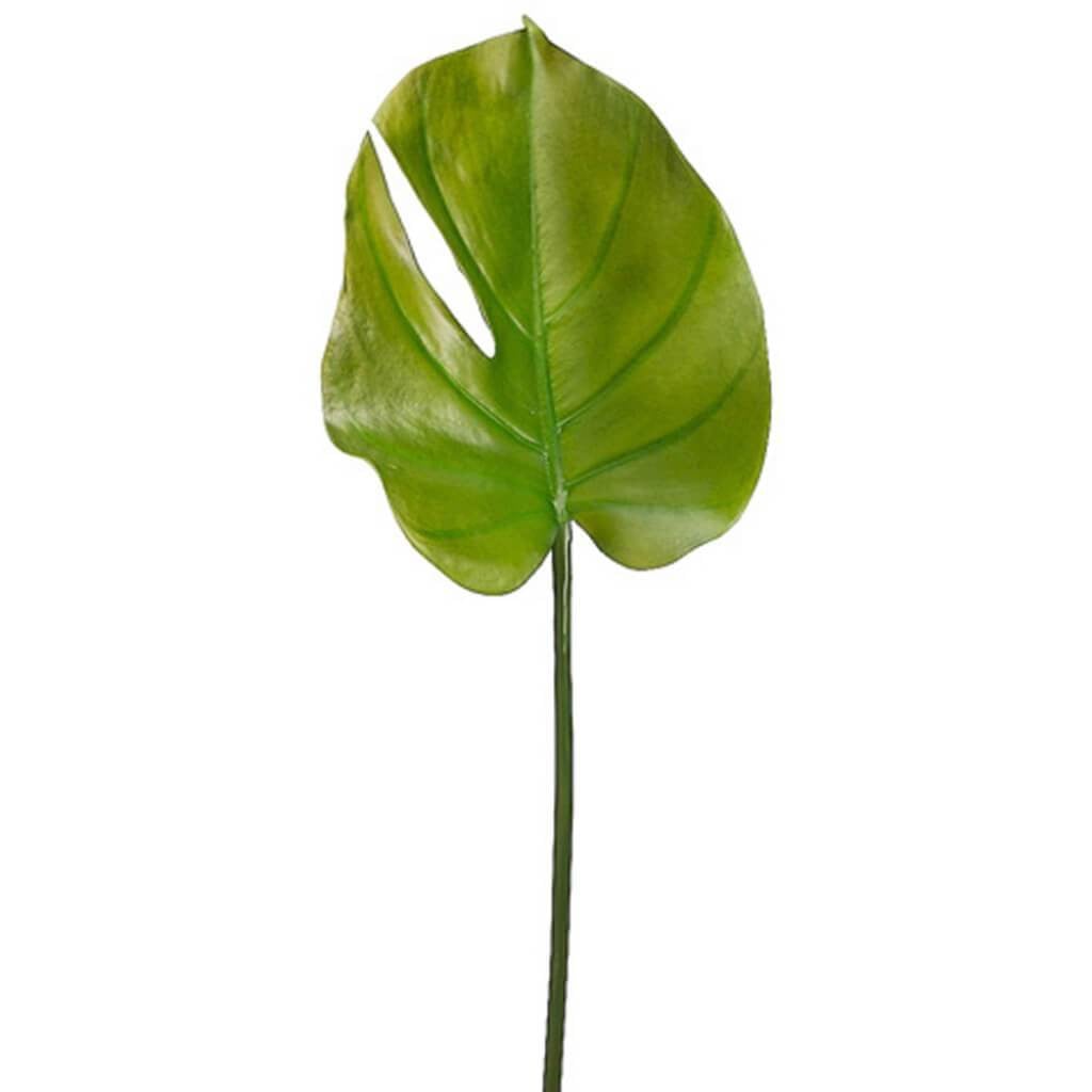 23.5" Small Split Philodendron Leaf Spray Green 