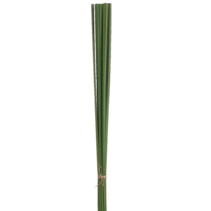 36"Pond Reed Bundle Gr 