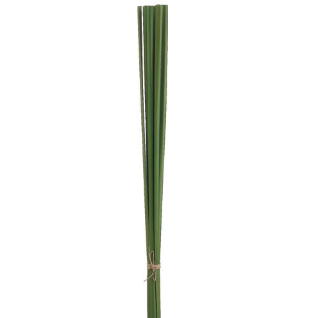 36"Pond Reed Bundle Gr 