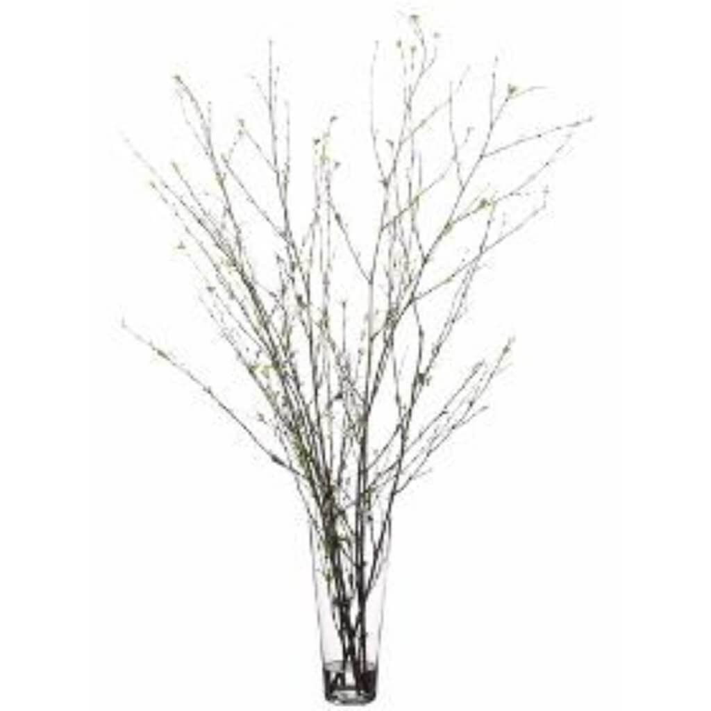 52H30W30"L Branch In Vase Grbr 