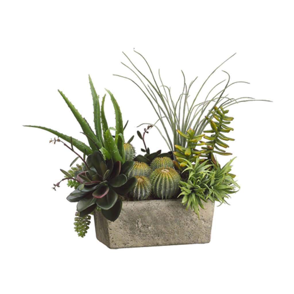 18H12W18"L Succulents(P)Gr/Tt 