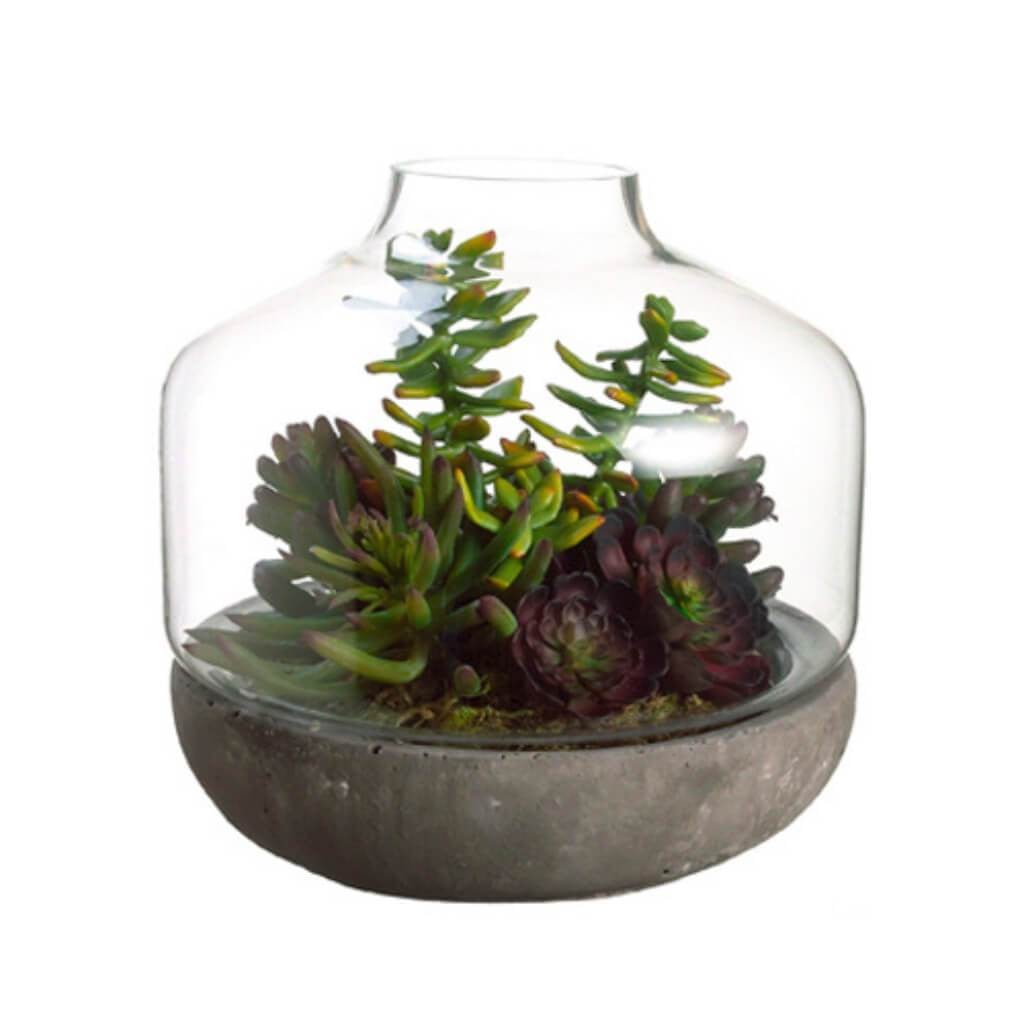 11H12W12"L Succulent(Terrarium 