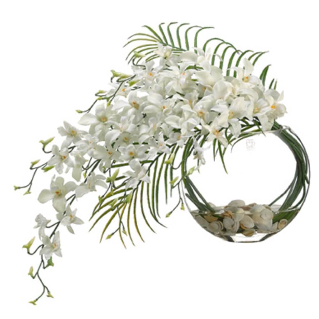 15H15W22"L Dendrobium (P) 
