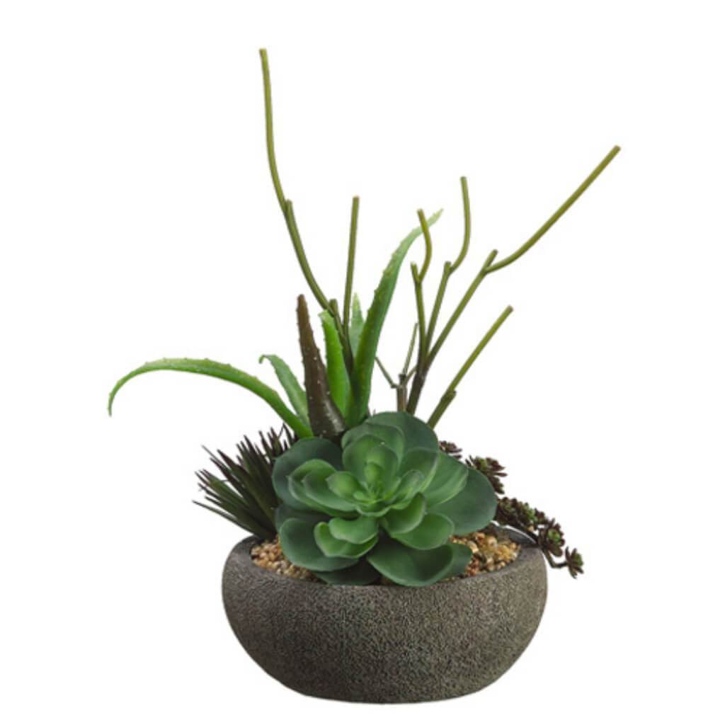 18H10W10&quot;L Aloe/Echeve/Sedum(P 