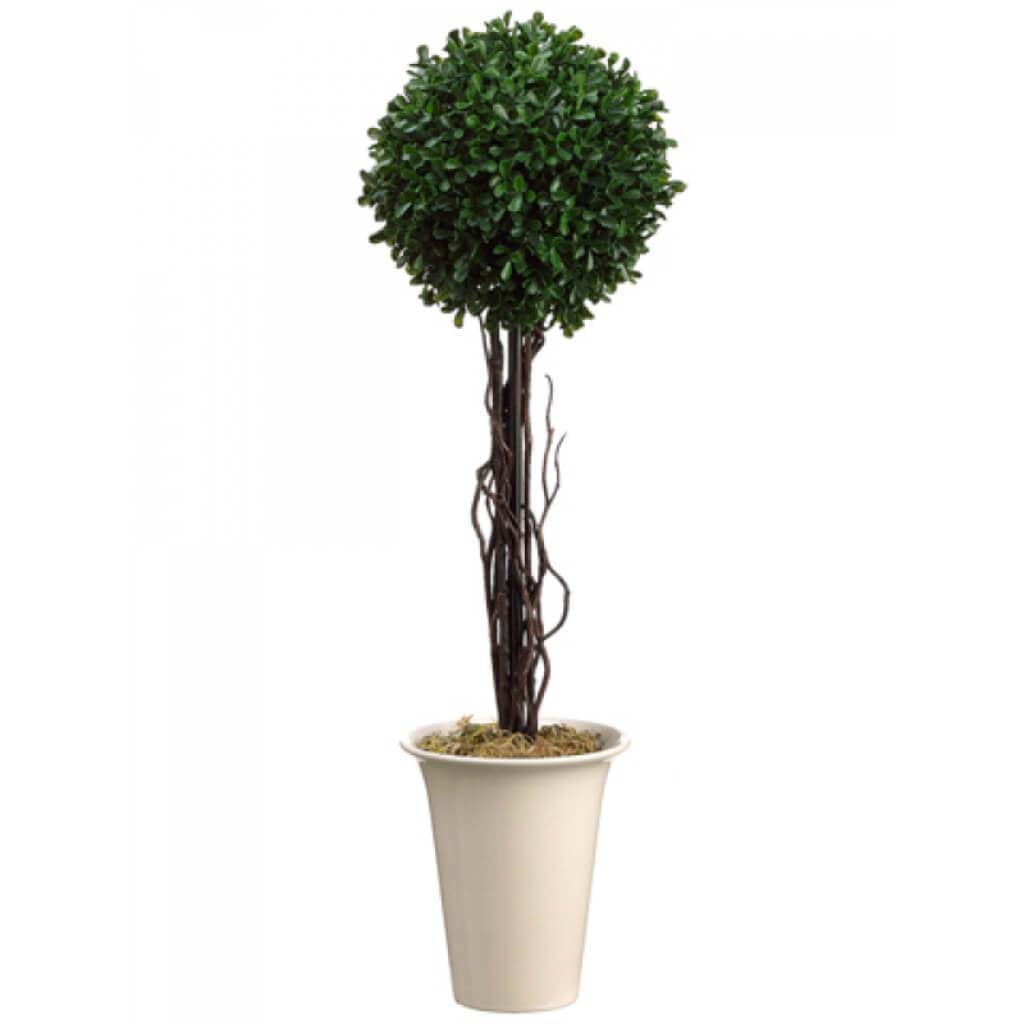 24&quot;H Boxwood Topiary (Pot) 