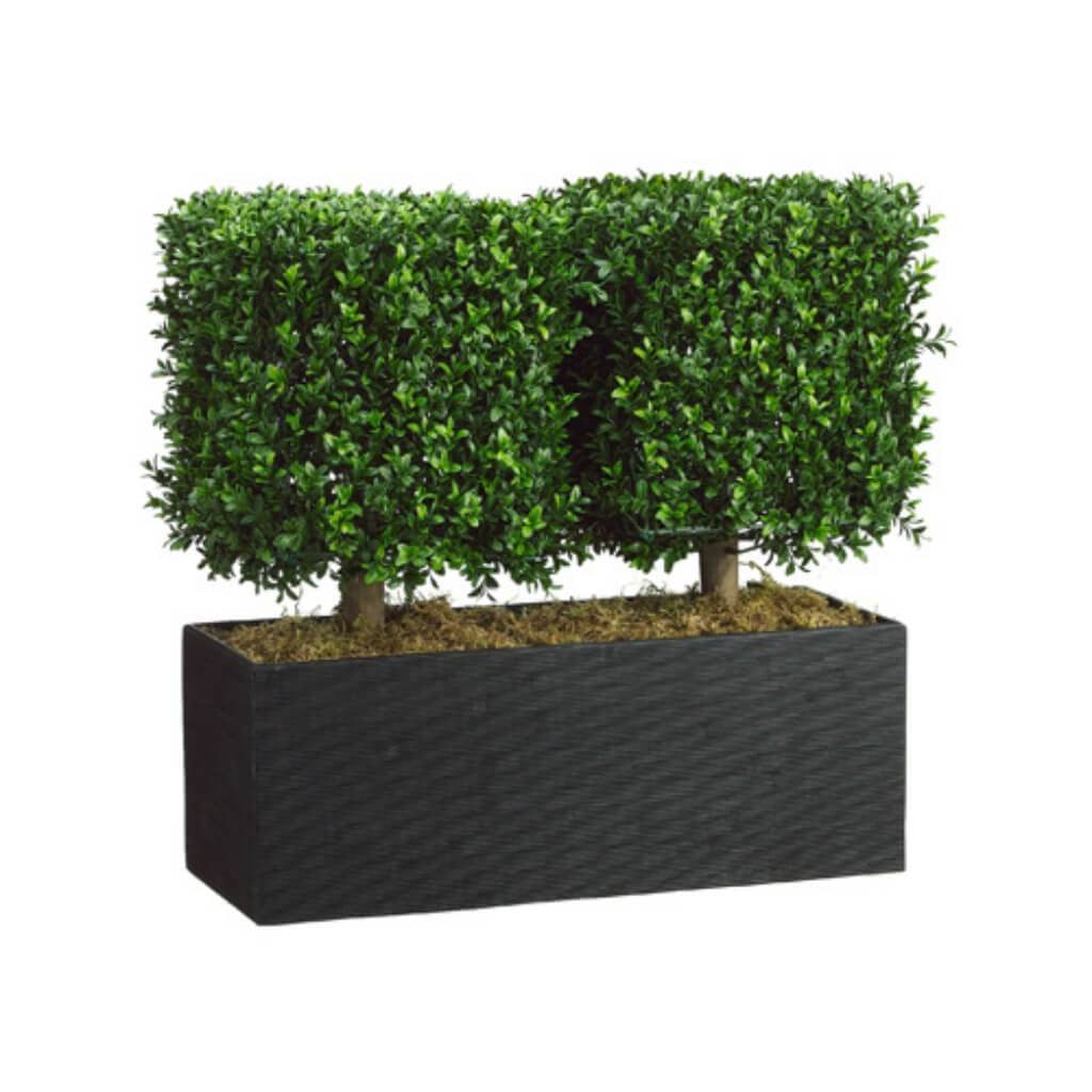 24H12W26"L Boxwood Topiary(P) 