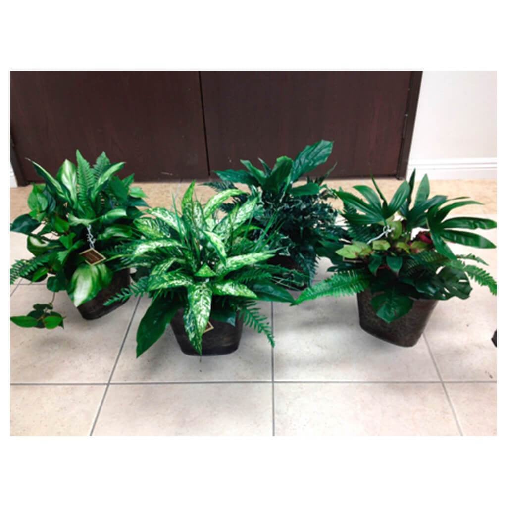 20H16W18"L 4Styl Greenery(P) 