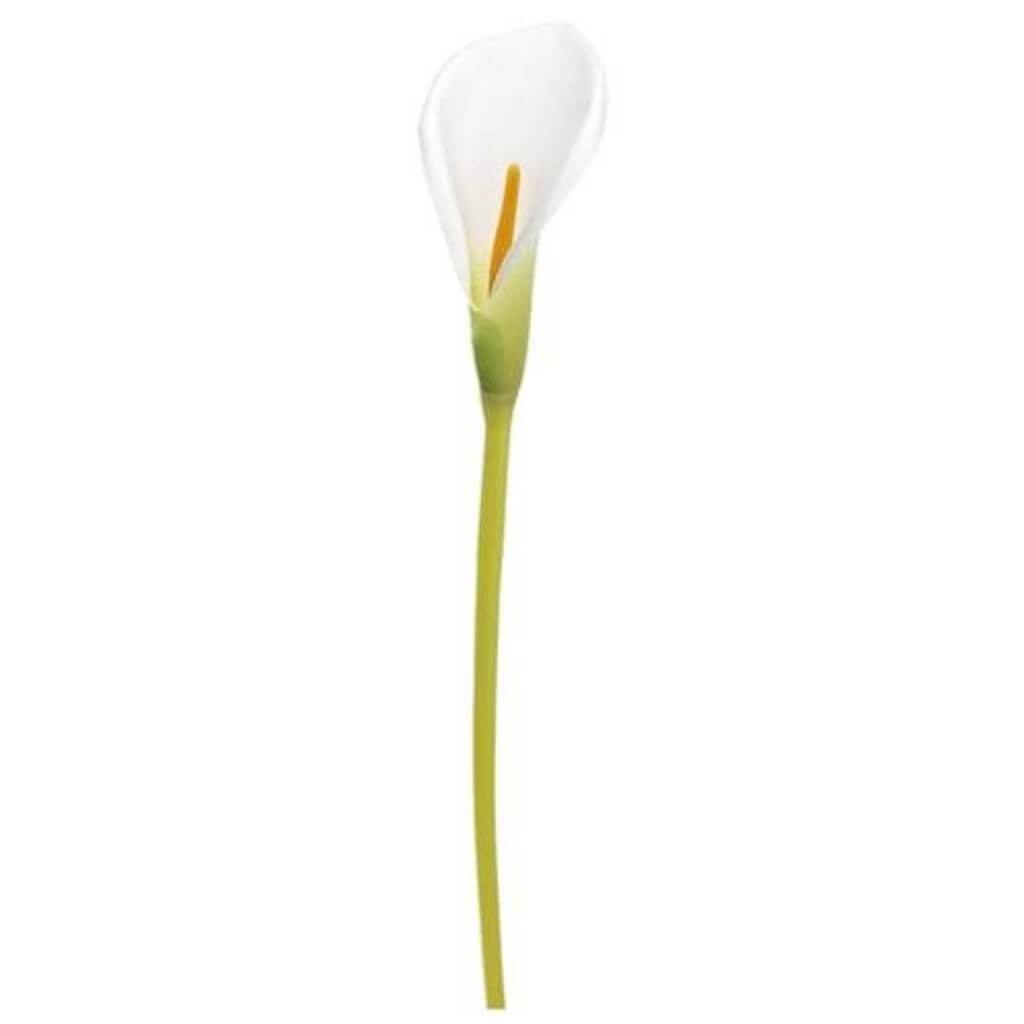 28&quot;Md Single Calla Lily Sp. Wh 