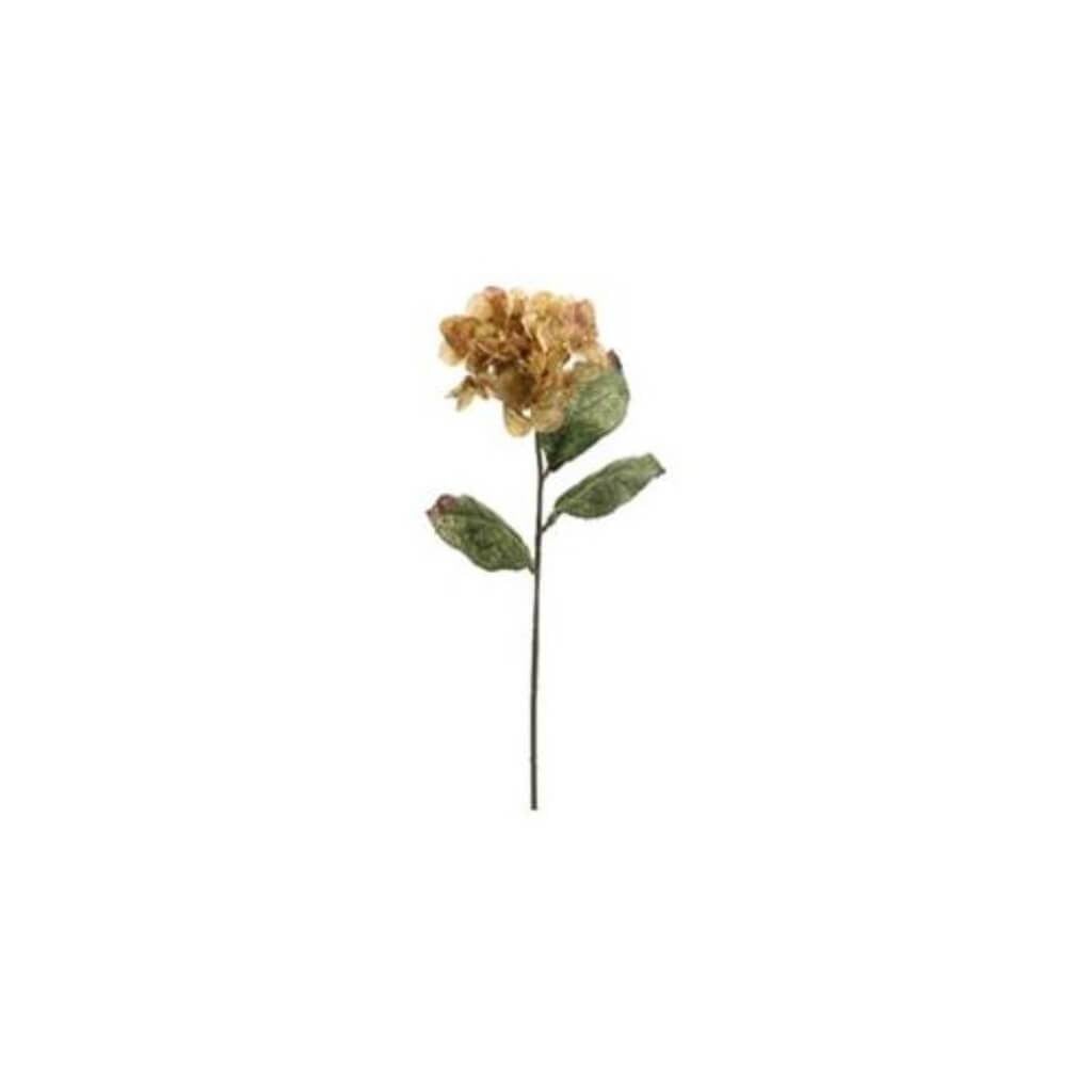 28"Byzant.Hydrangea Sp.X1 Mdgo 