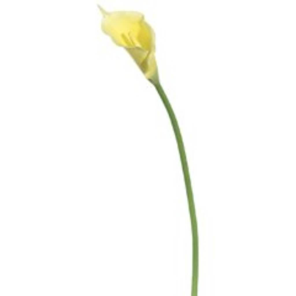 31&quot;Calla Lily Spray Yellow 
