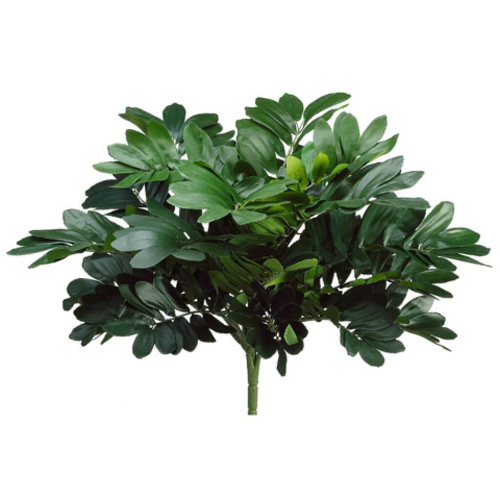 20&quot;Zamia Bush X 22 Gr 