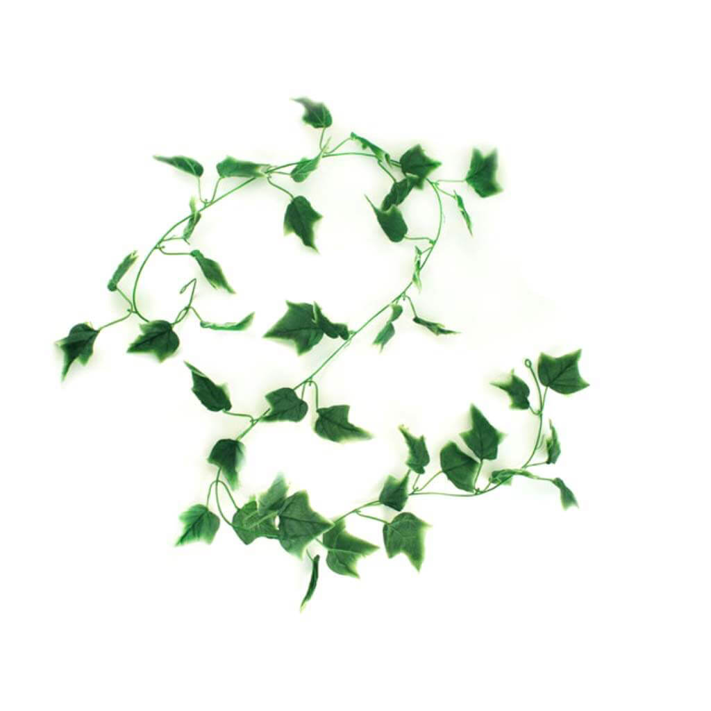 Ivy Vine Green Garland, 6ft