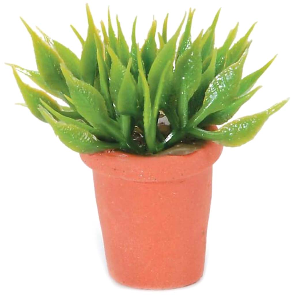 MINIATURE SMALL HOUSE PLANT 