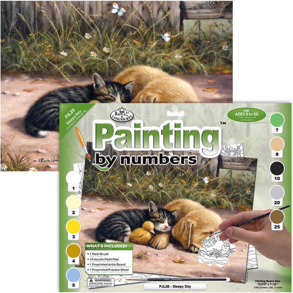 Paint By Number Kit Sleepy Day