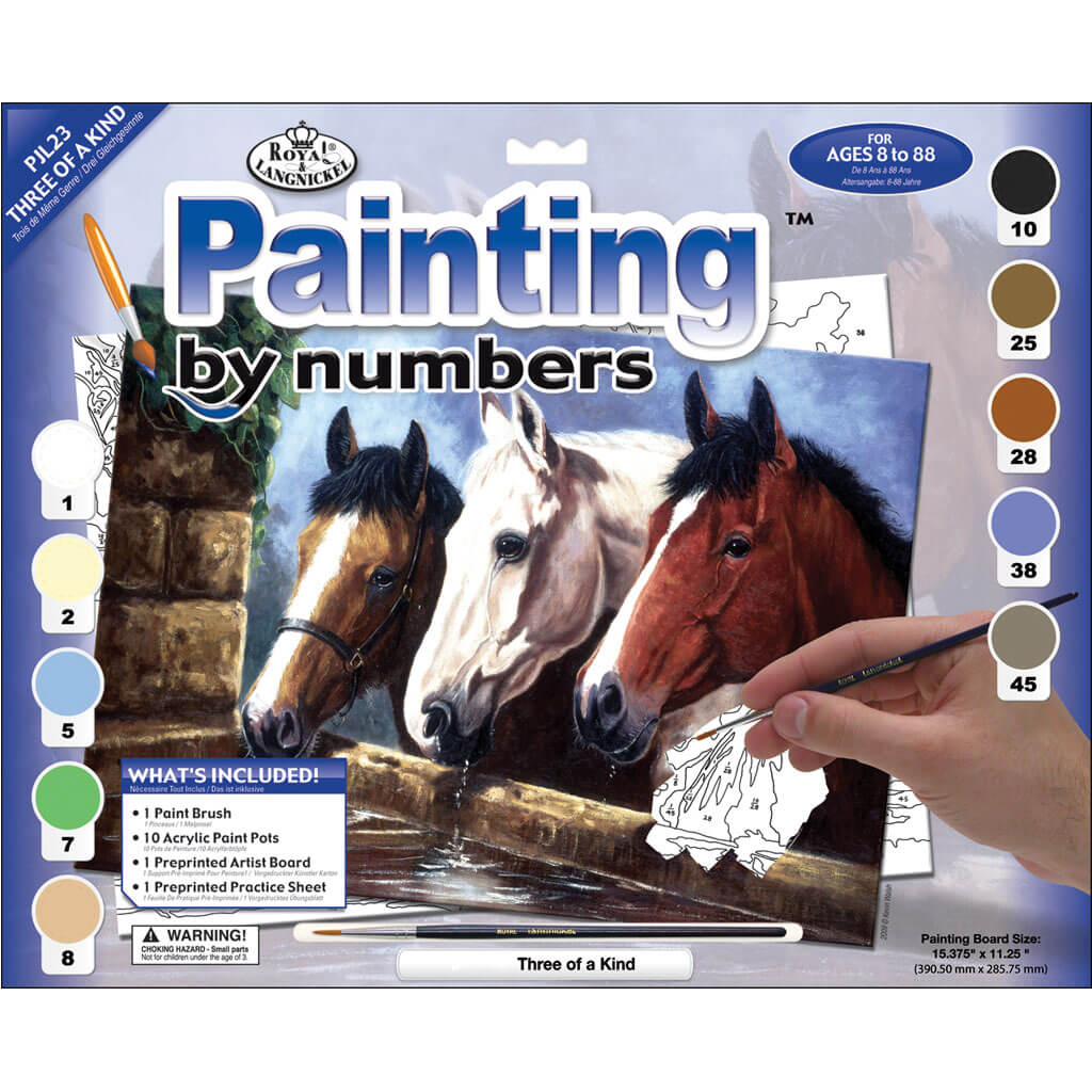 Paint By Number Kit Large Three Of A Kind 15.4in x 11.25in