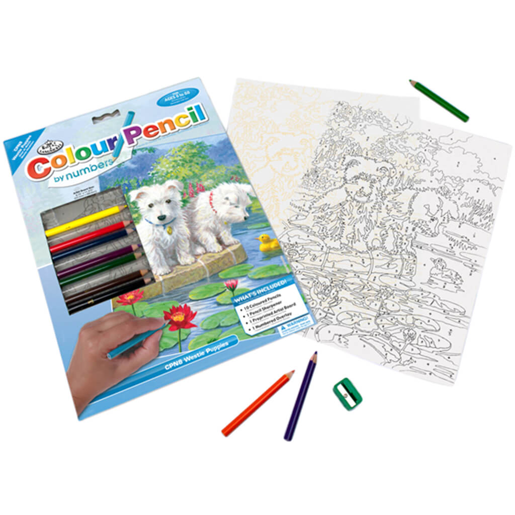 Colour Pencil By Numbers Westie Puppies