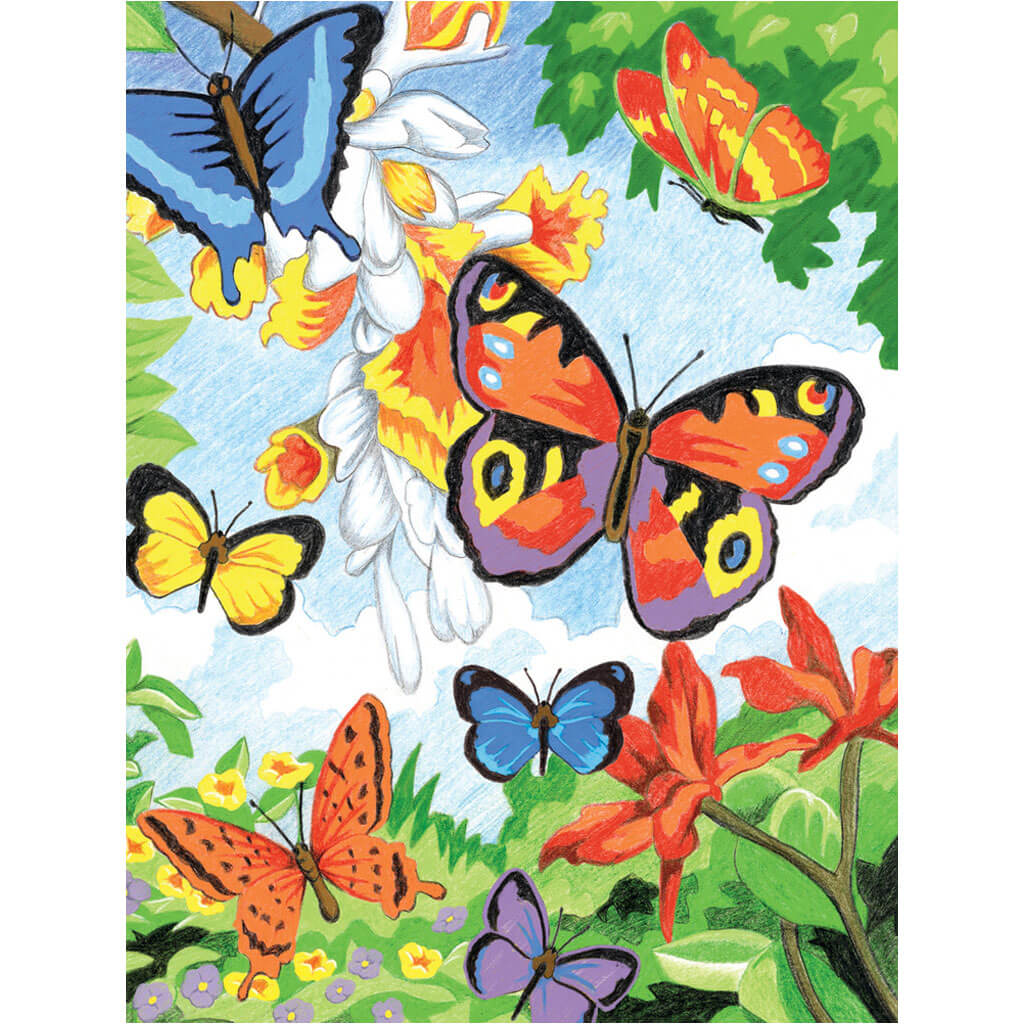 Color Pencil By Number Kit 8.75in x 11.75in Bright Butterflies