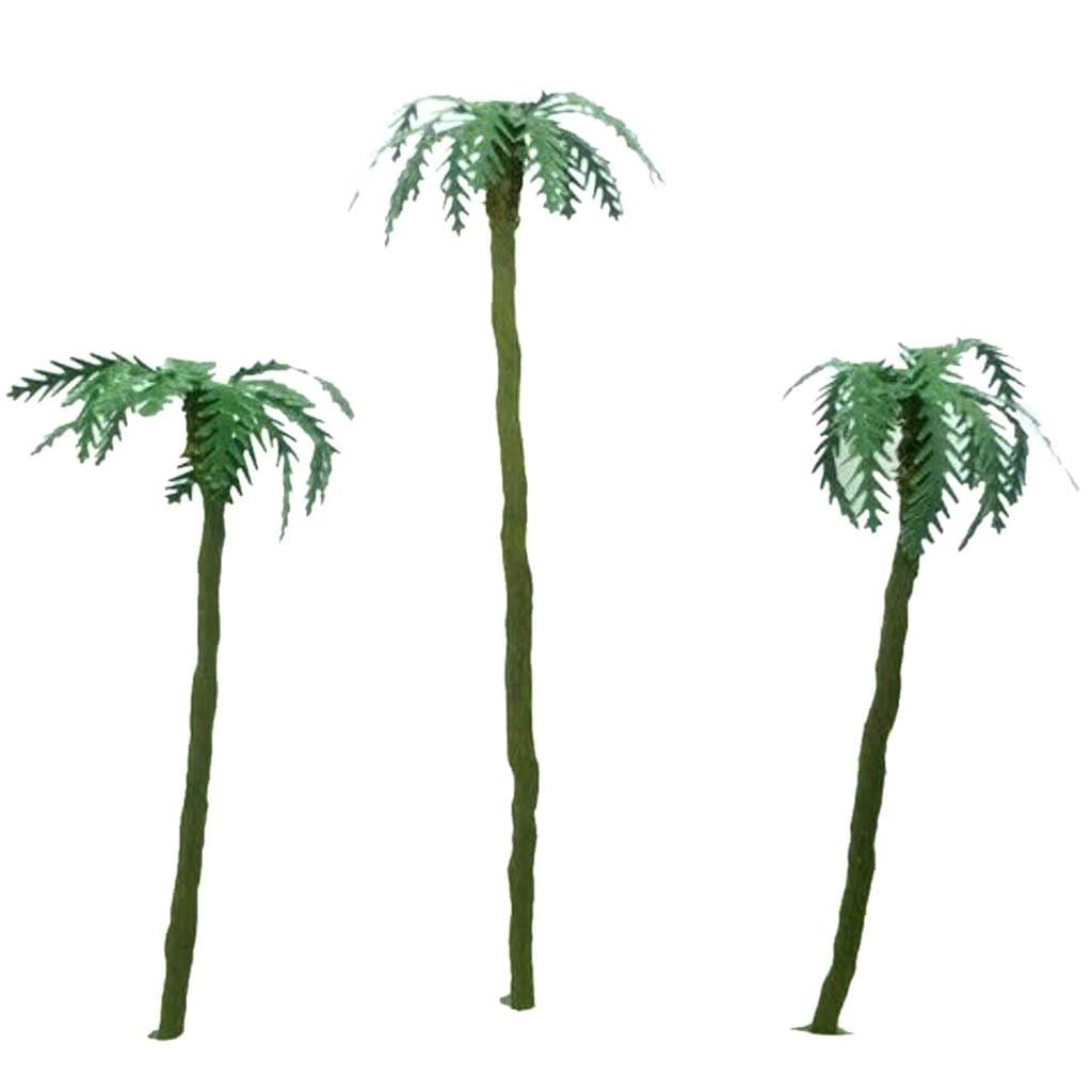 Trees Palm Assorted 1in to 3in