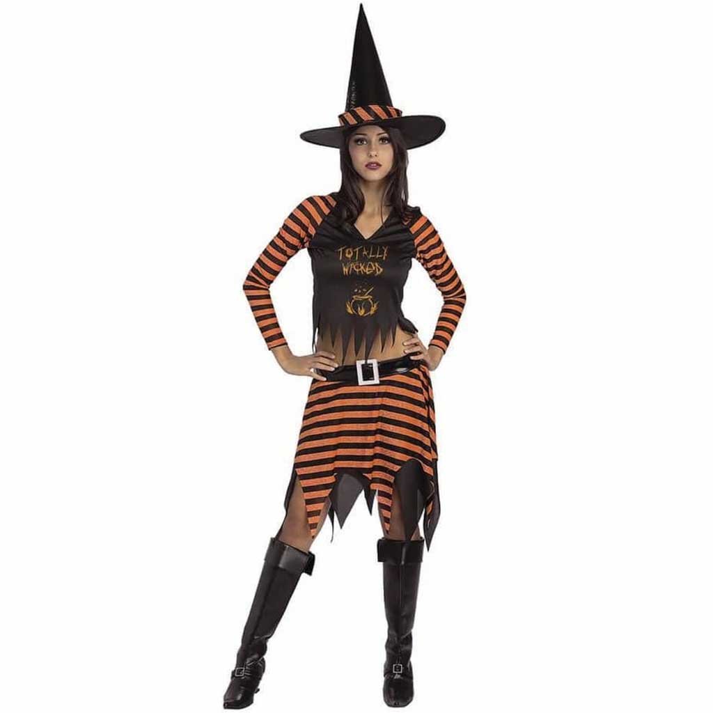 Wicked Witch Costume