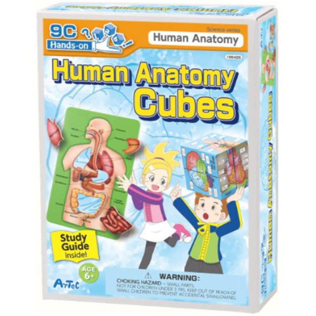 Human Anatomy Cubes