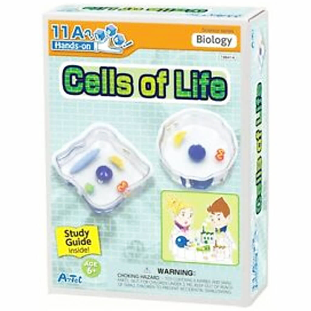 Cell Of Life