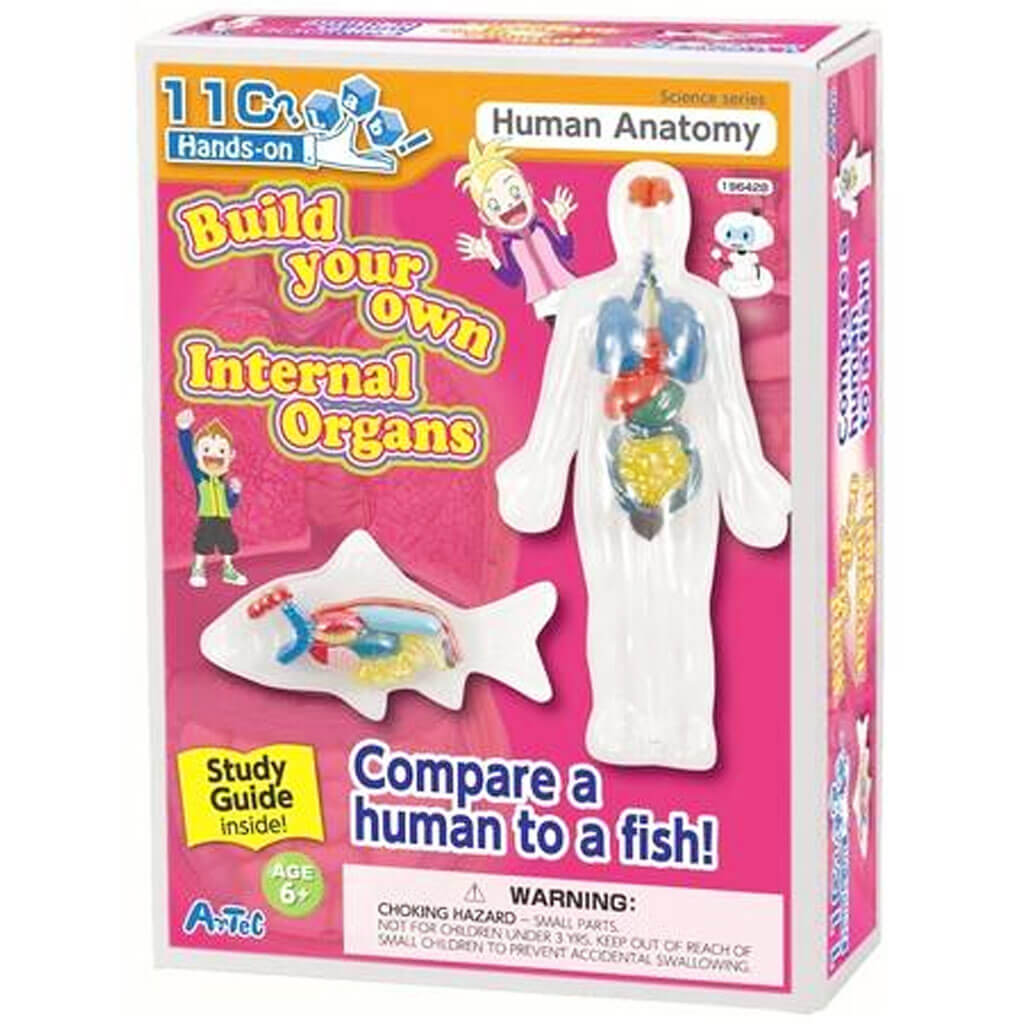 Build Your Own Internal Organs