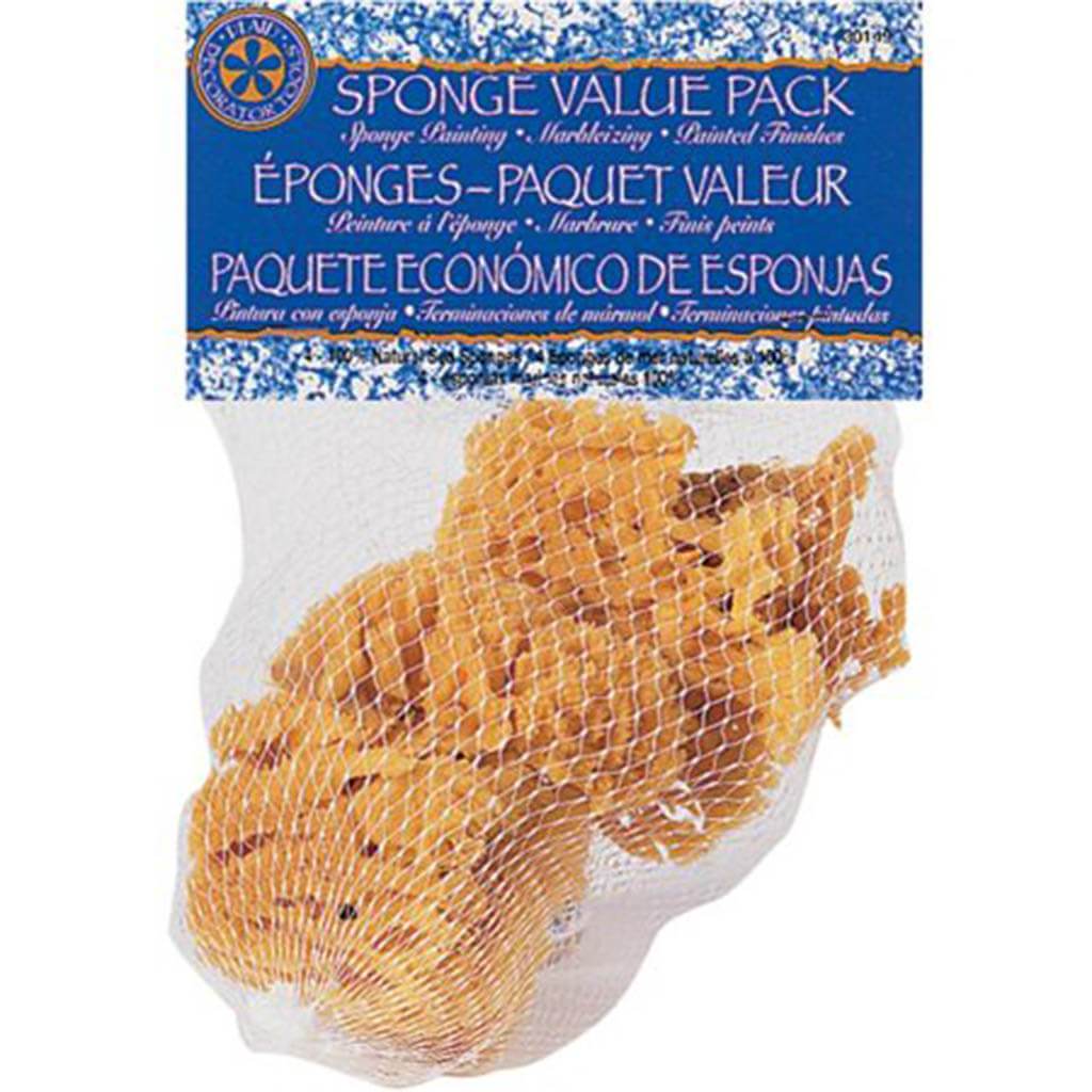 Sponge Value Pack 4/Pkg (1) 3in &amp; (3) 2in