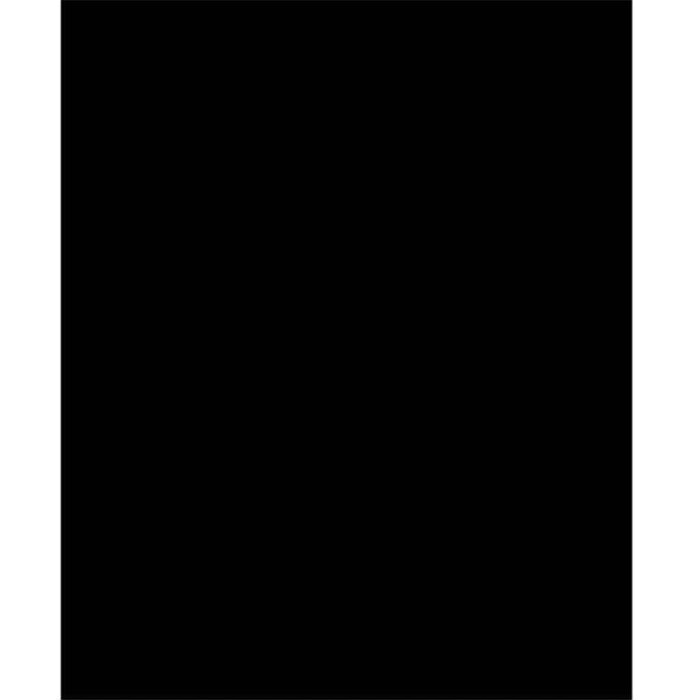 Bazic Poly 2-Pockets Portfolio Solid Color