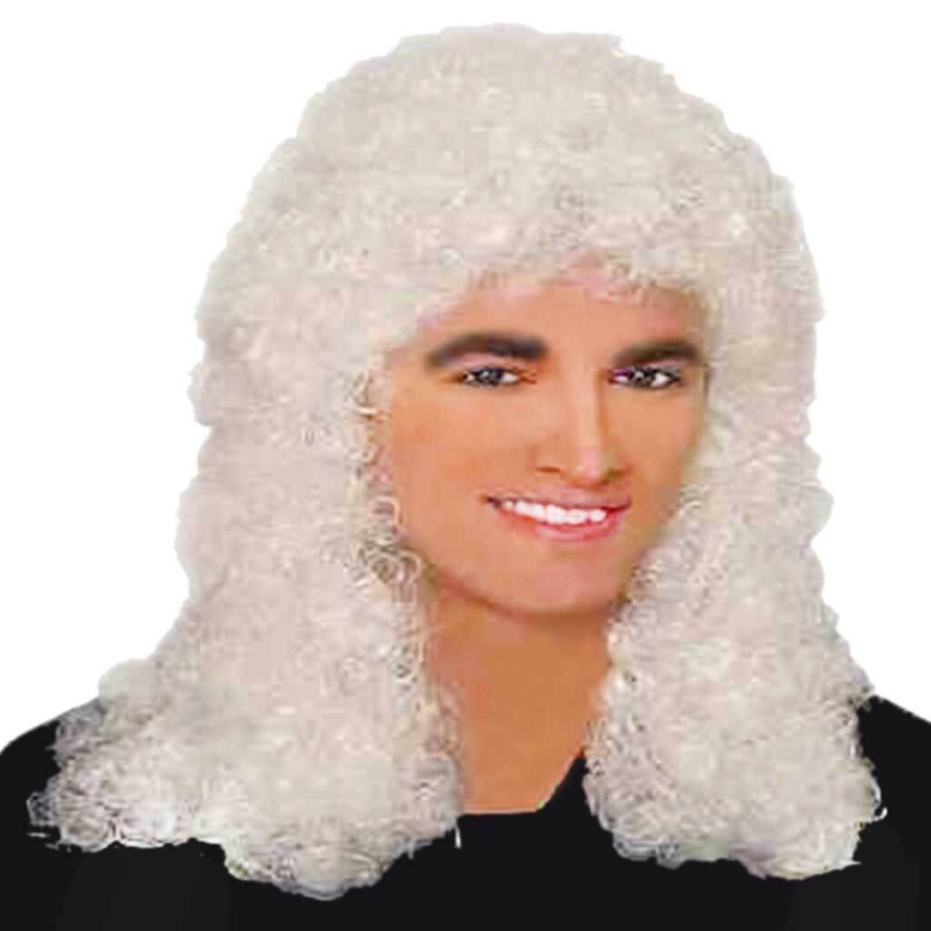 Judge Adult Wig