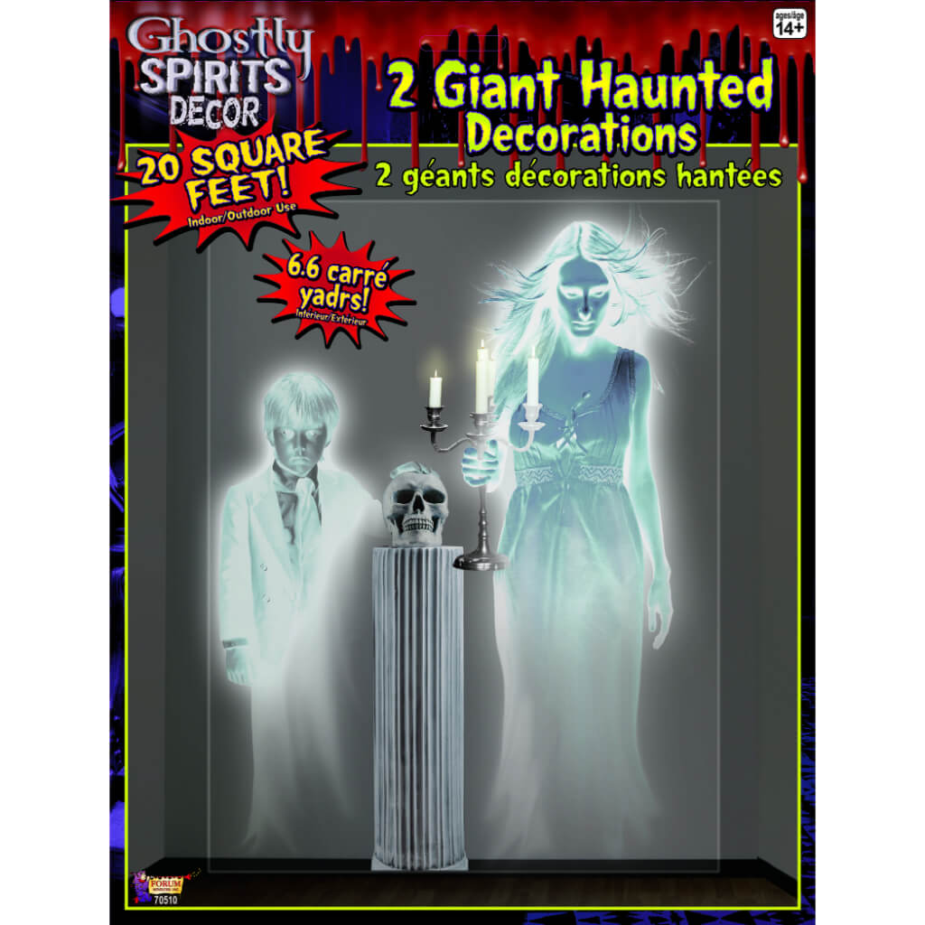 GIANT HAUNTED GHOSTLY WALL 