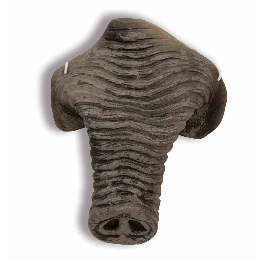 Elephant Nose 