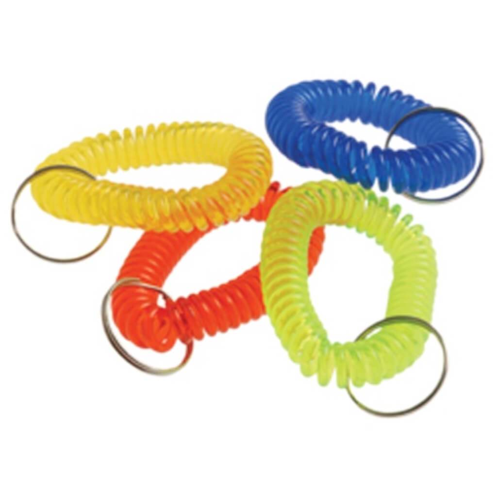 $100 Bill Key chains 