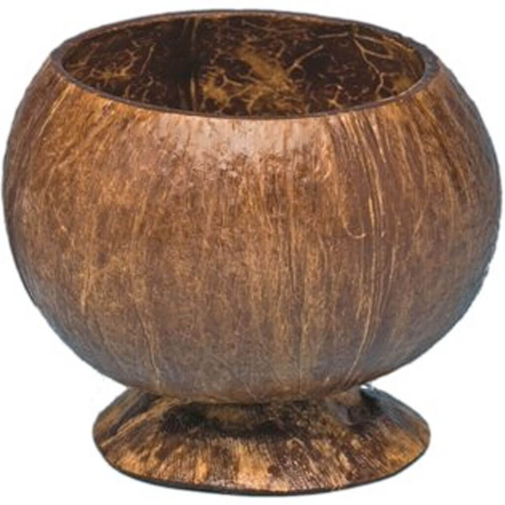 Coconut Cup With Base