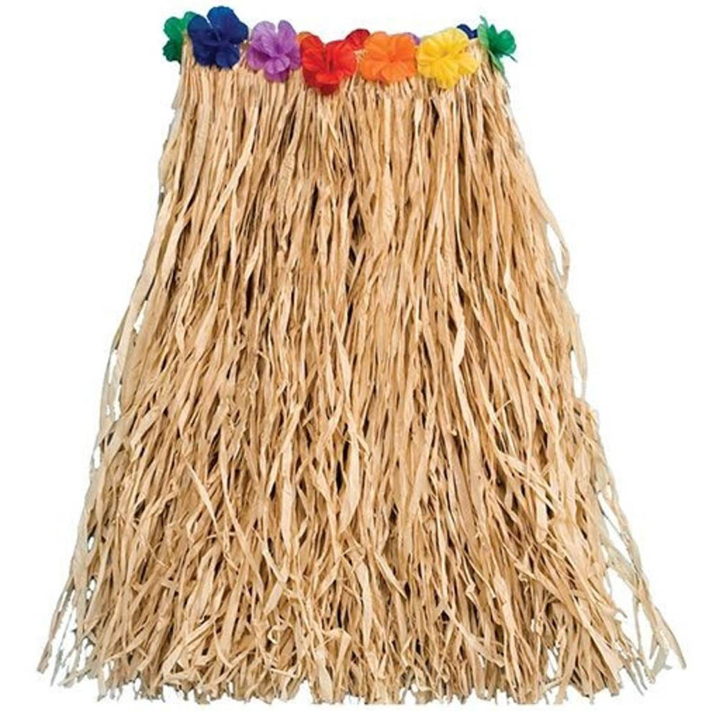 Hula Skirt Child With Flowers