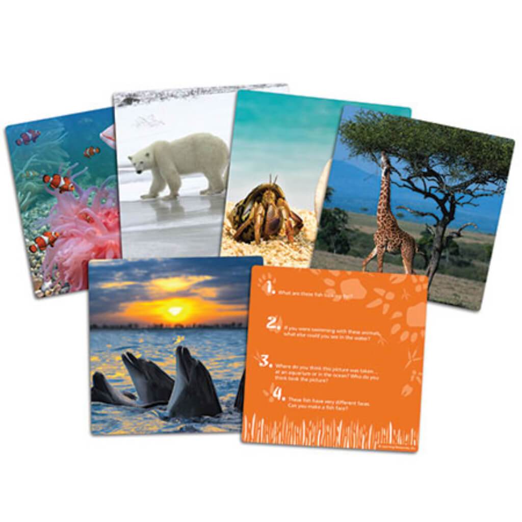 Wild About Animals Snapshots Critical Thinking Photo Cards 