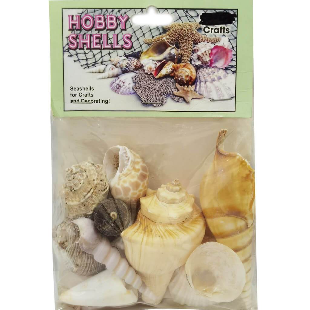 Large Hobby India Mix Seashells