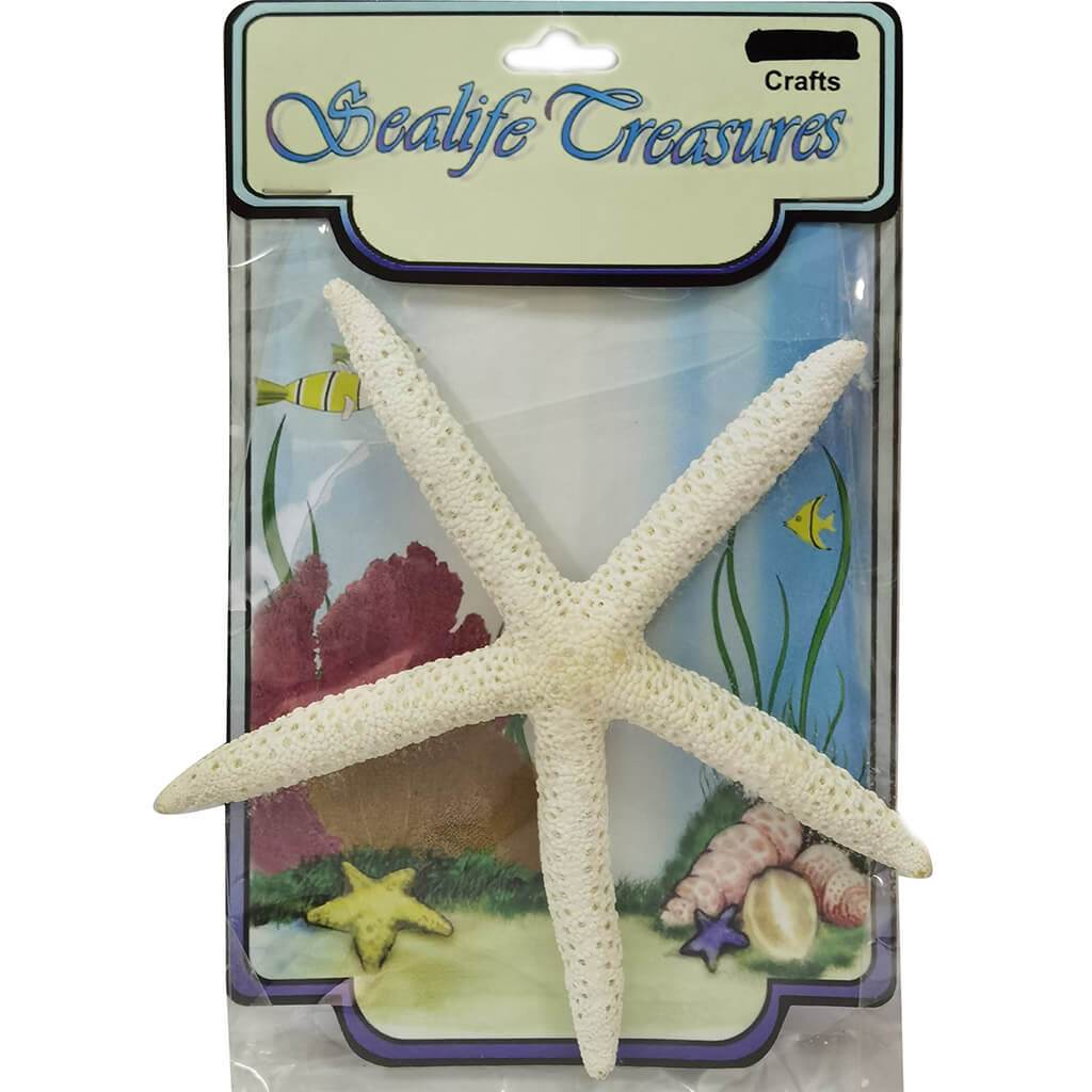 White Finger Starfish