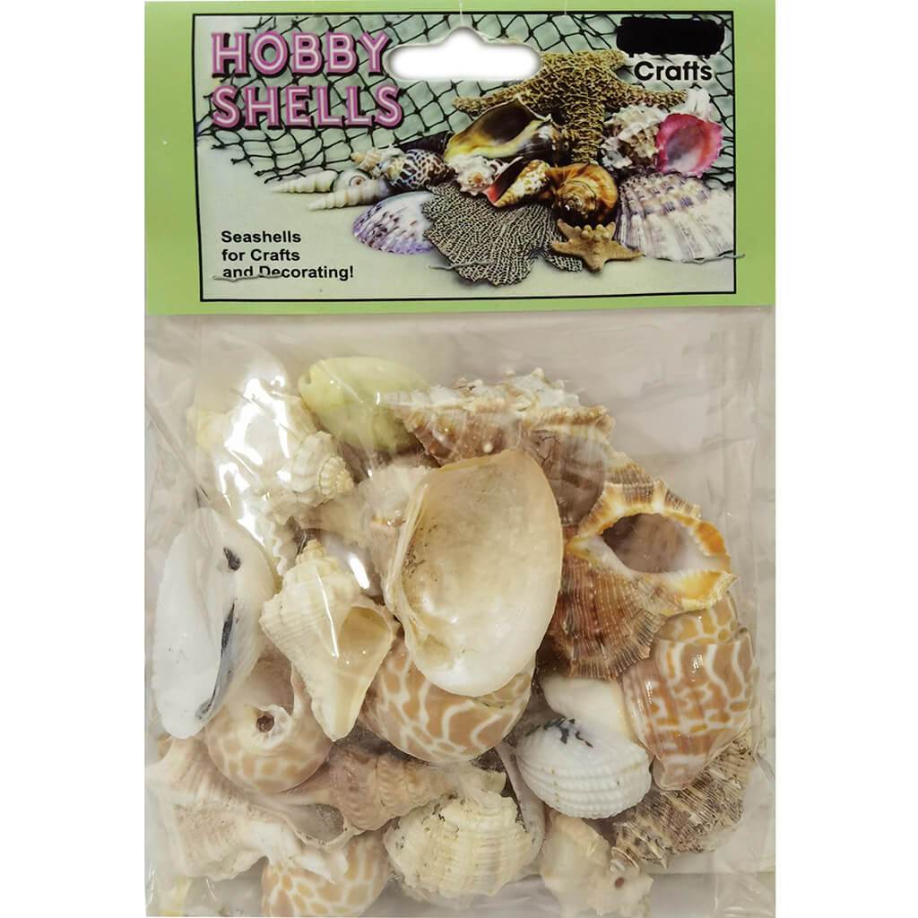 Medium Hobby India Mix Seashells