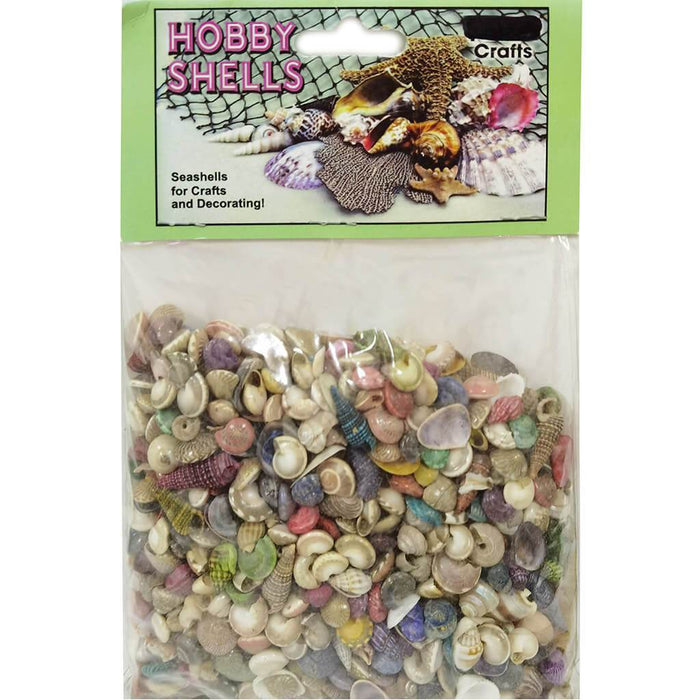 Tiny Dyed and Natural Seashells Mix