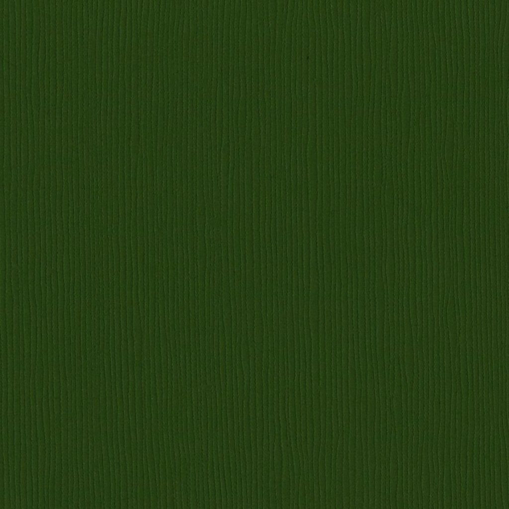 CARDSTOCK GRASS CLOTH TEXTURE 12IN X 12IN