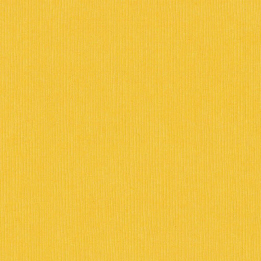 CARDSTOCK HEAVYWEIGHT 12IN X 12IN