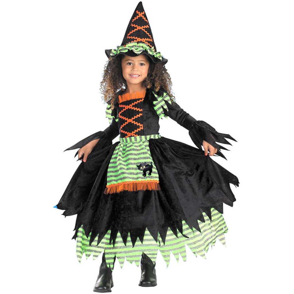 Story Book Witch Todder Costume Small (2T)