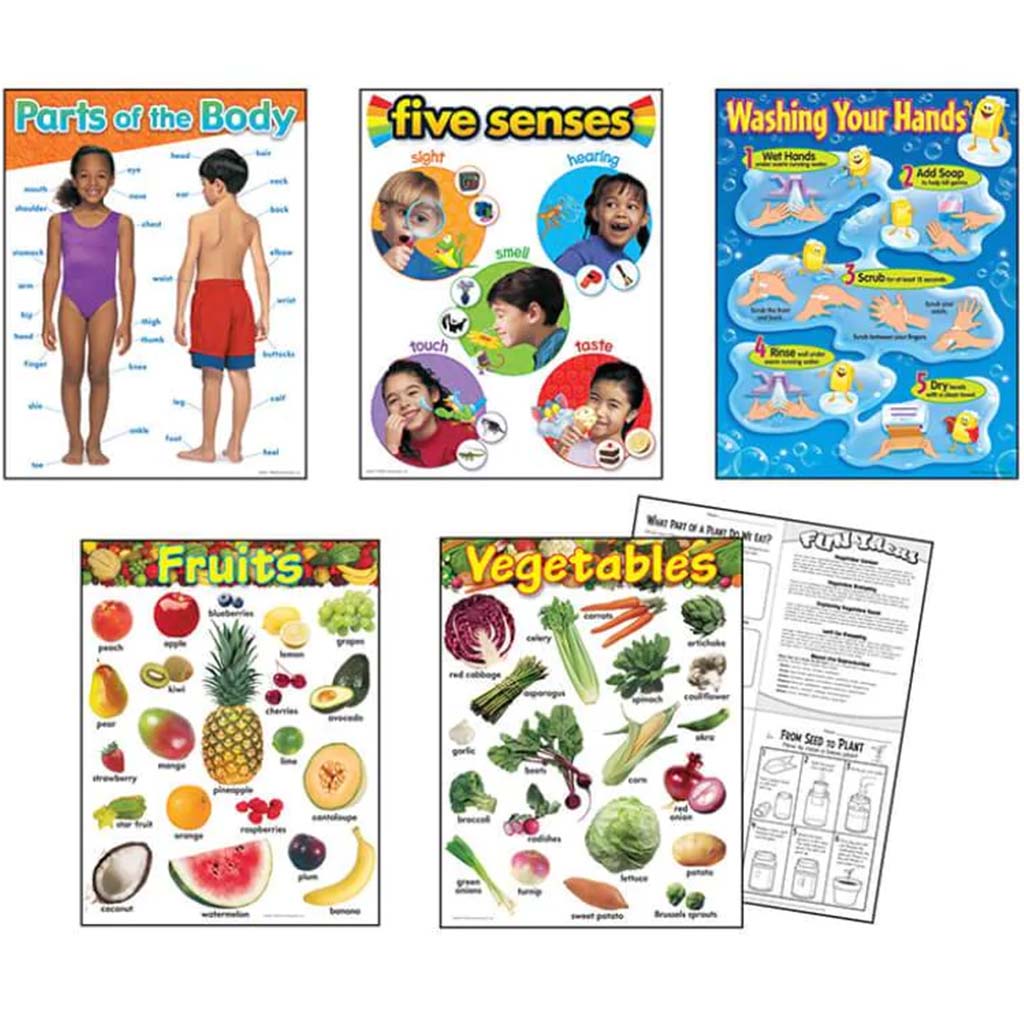 Healthy Living Learning Charts Combo Pack 