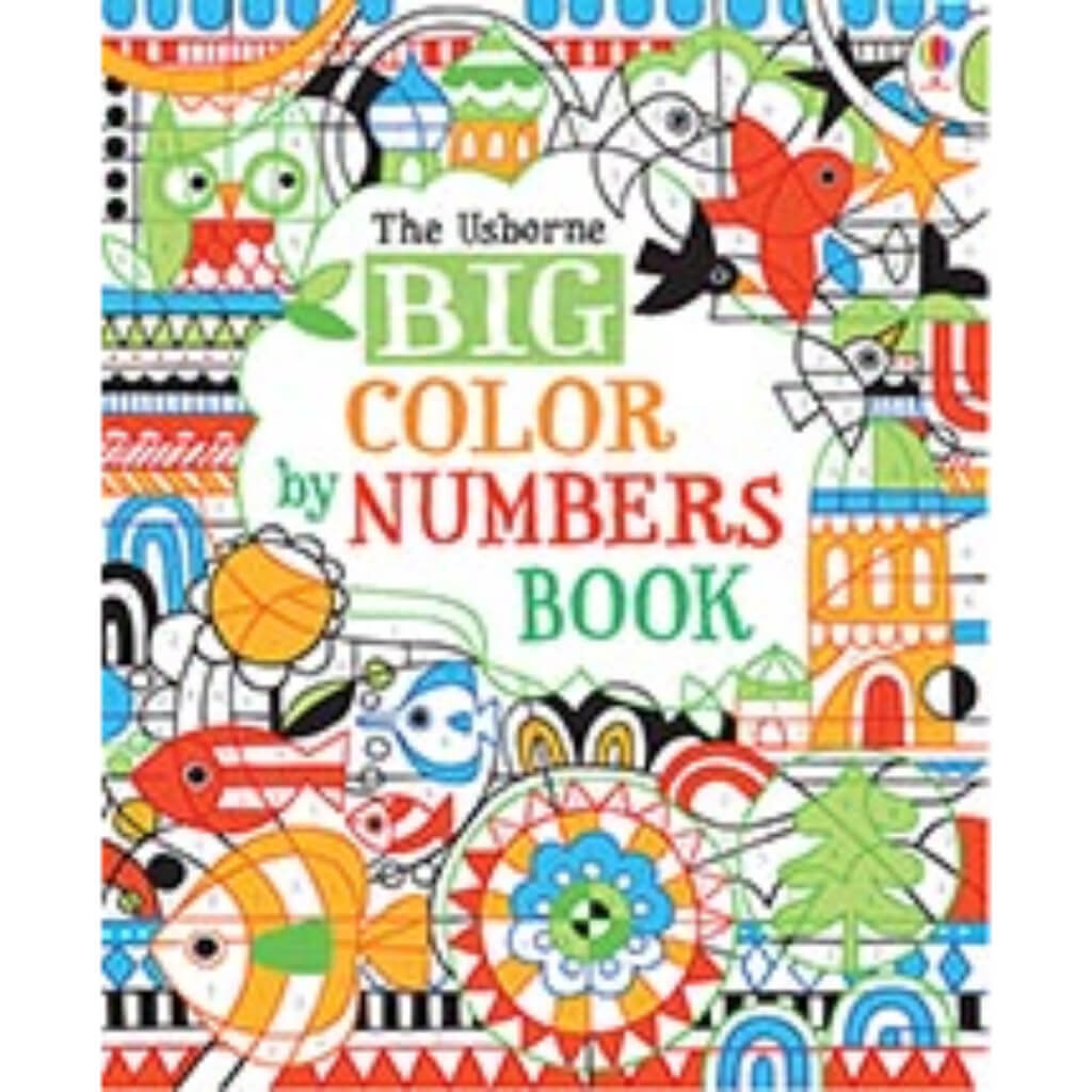 Big Color by Numbers Book