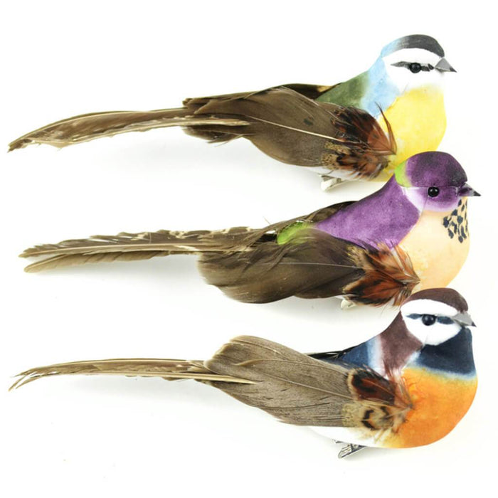 Natural Bird Feather 6"