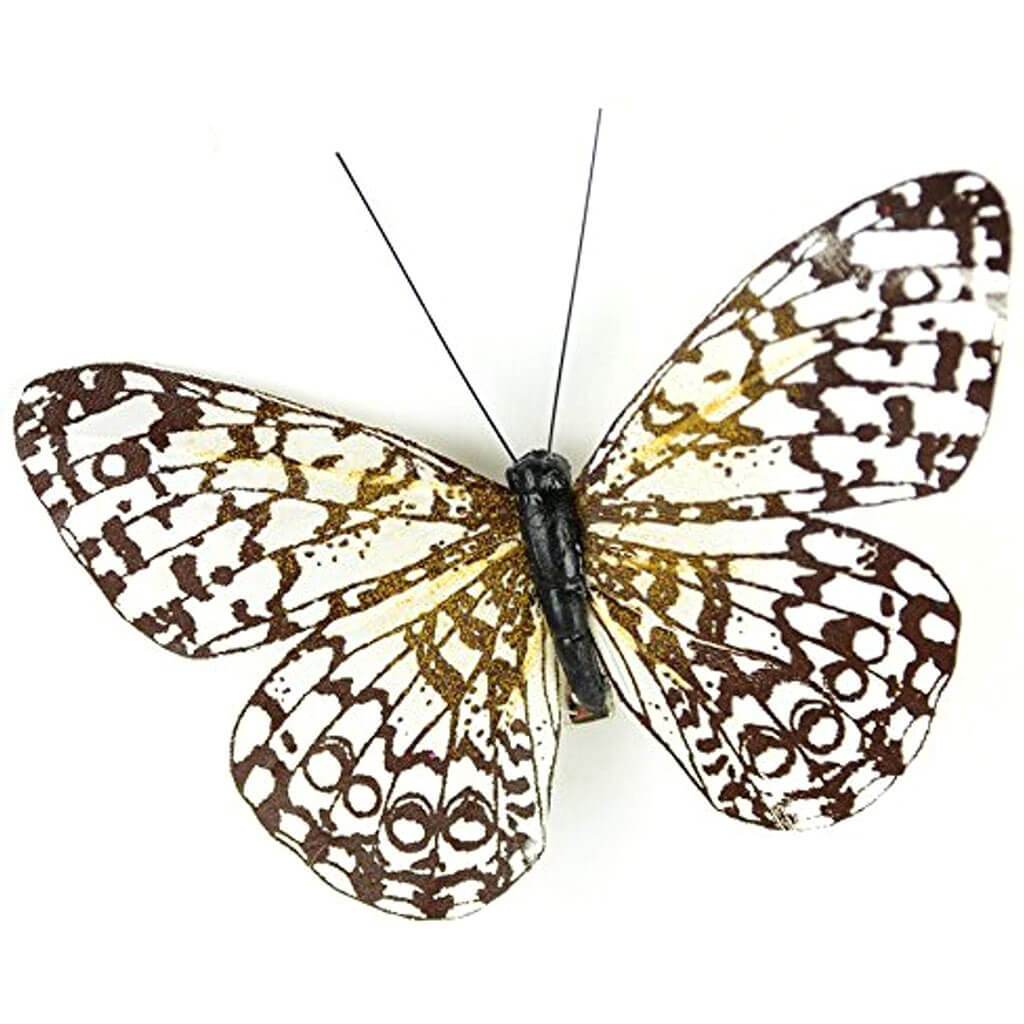 Feather Butterfly Safari Print 3" Brown