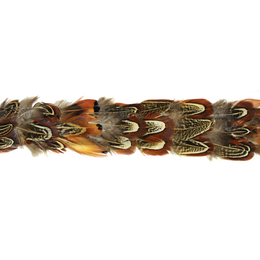 Pheasant Feather Ribbon 1.75inX 14in 