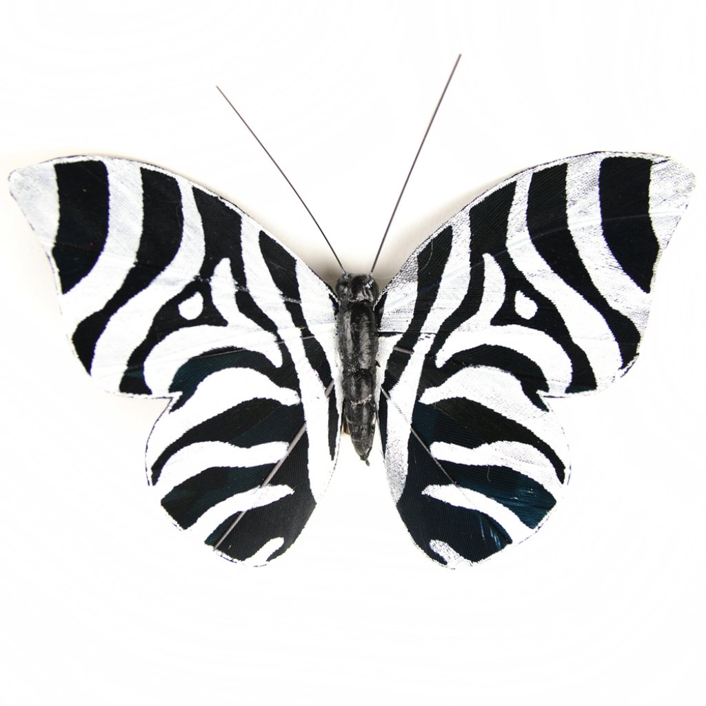 Feather Butterfly 3in Black/Whi Te Zebra Print 1Pc 